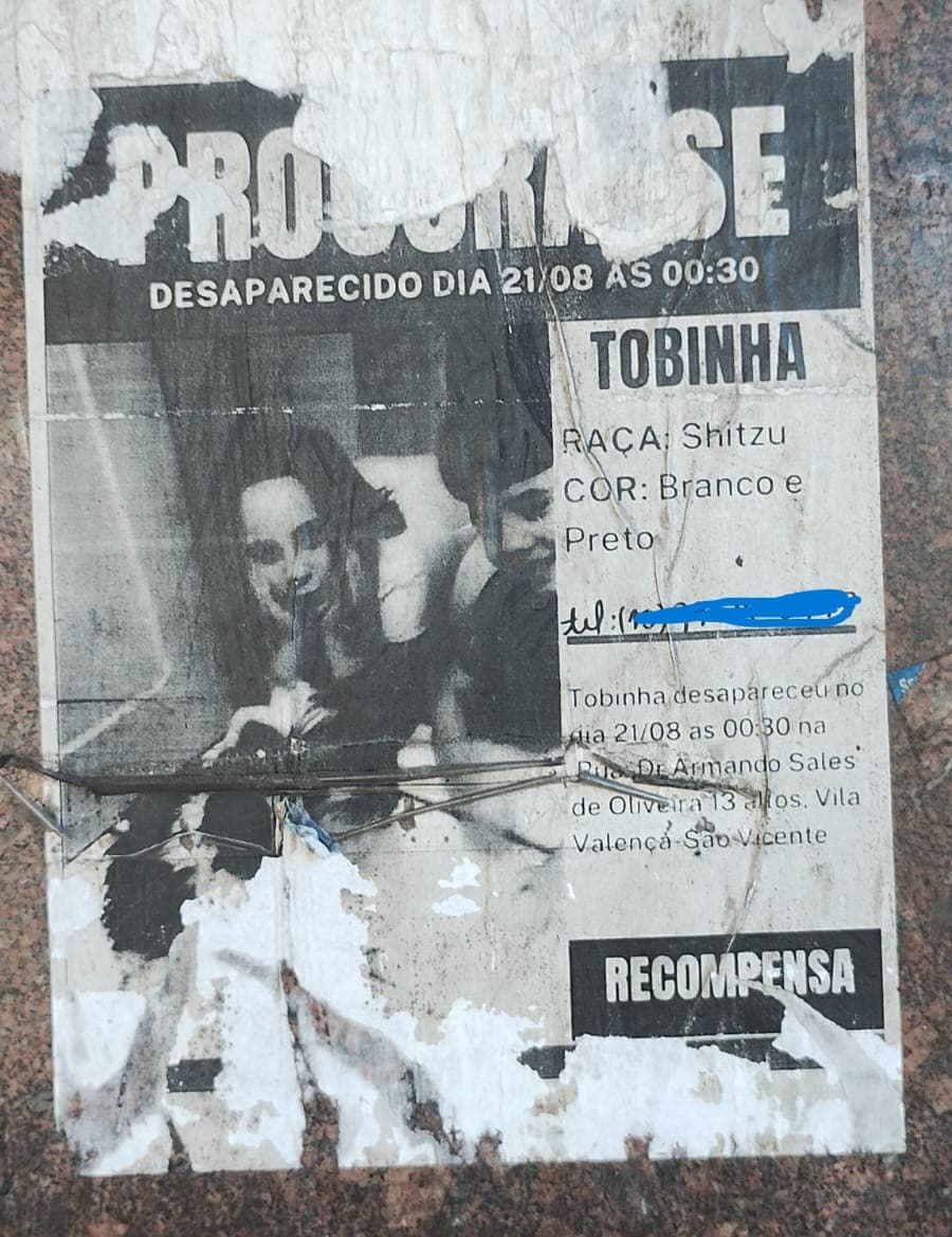 Papel de pet perdido colado em poste, desbotado